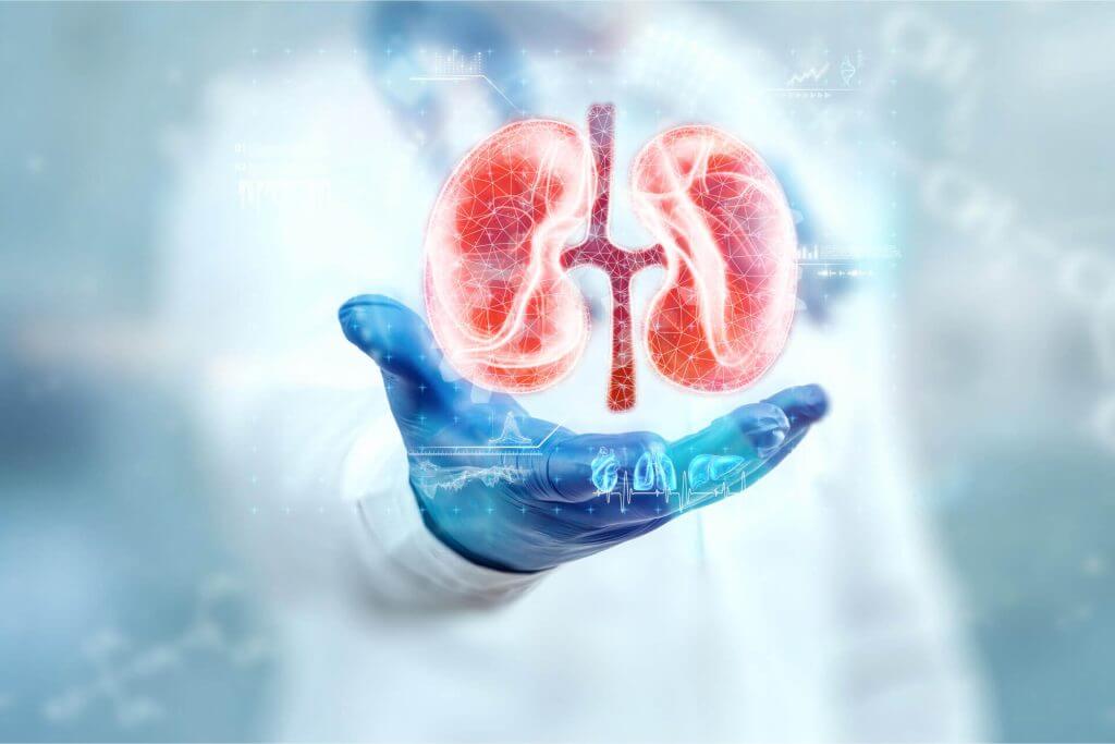 Nephrology Department