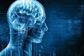 Neurosciences